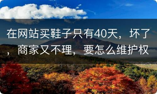 在网站买鞋子只有40天，坏了，商家又不理，要怎么维护权益