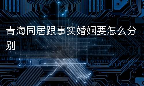 青海同居跟事实婚姻要怎么分别