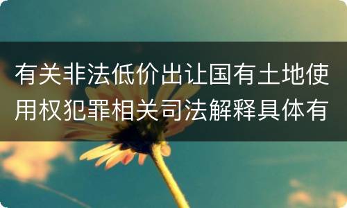 有关非法低价出让国有土地使用权犯罪相关司法解释具体有哪些主要规定