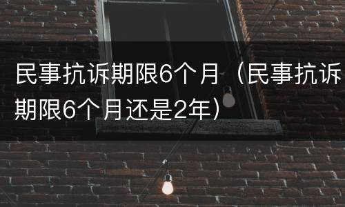 民事抗诉期限6个月（民事抗诉期限6个月还是2年）