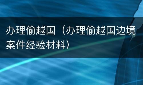办理偷越国（办理偷越国边境案件经验材料）