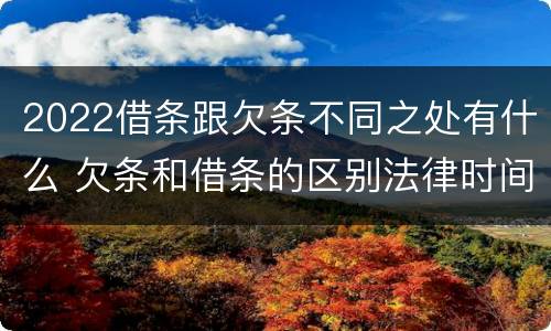 2022借条跟欠条不同之处有什么 欠条和借条的区别法律时间多少年