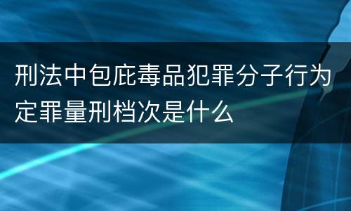 刑法中包庇毒品犯罪分子行为定罪量刑档次是什么