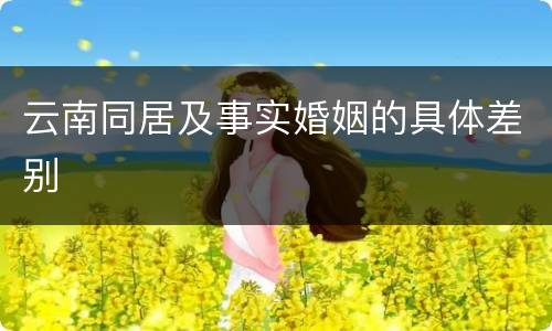 云南同居及事实婚姻的具体差别