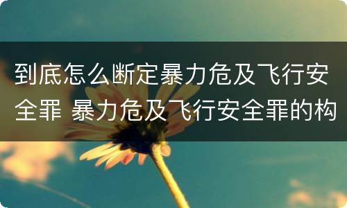 到底怎么断定暴力危及飞行安全罪 暴力危及飞行安全罪的构成要件