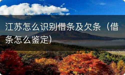 江苏怎么识别借条及欠条（借条怎么鉴定）