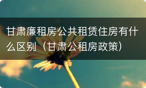 甘肃廉租房公共租赁住房有什么区别（甘肃公租房政策）