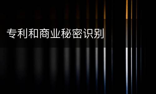 专利和商业秘密识别