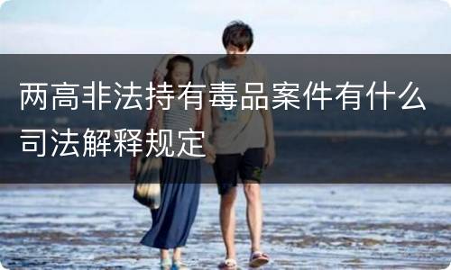 两高非法持有毒品案件有什么司法解释规定