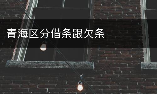青海区分借条跟欠条