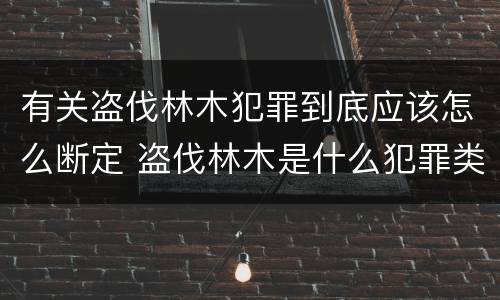 有关盗伐林木犯罪到底应该怎么断定 盗伐林木是什么犯罪类型