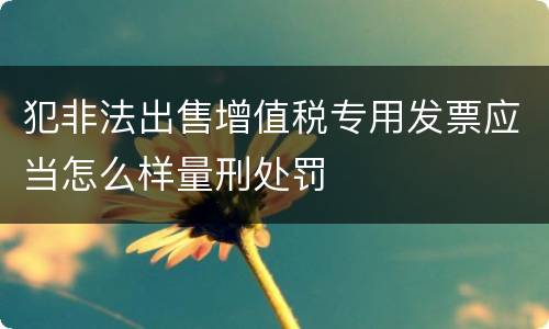 犯非法出售增值税专用发票应当怎么样量刑处罚