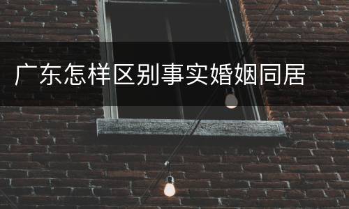 广东怎样区别事实婚姻同居