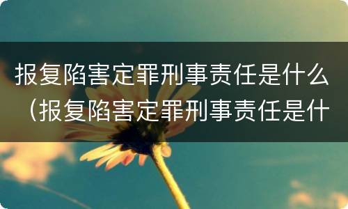 报复陷害定罪刑事责任是什么（报复陷害定罪刑事责任是什么案件）