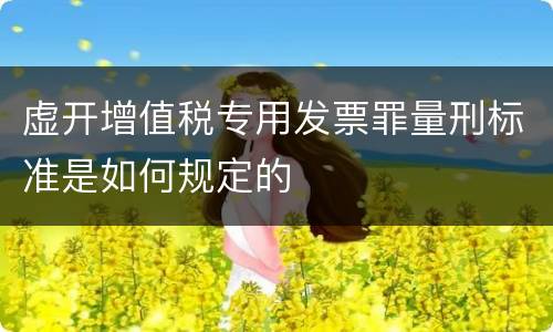 虚开增值税专用发票罪量刑标准是如何规定的