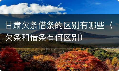 甘肃欠条借条的区别有哪些（欠条和借条有何区别）