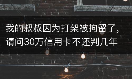 我的叔叔因为打架被拘留了，请问30万信用卡不还判几年