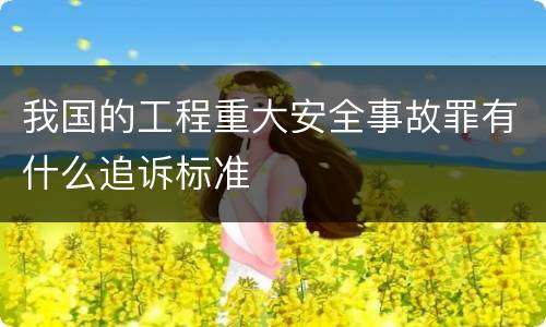 我国的工程重大安全事故罪有什么追诉标准