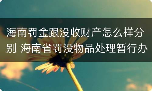 海南罚金跟没收财产怎么样分别 海南省罚没物品处理暂行办法