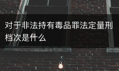对于非法持有毒品罪法定量刑档次是什么