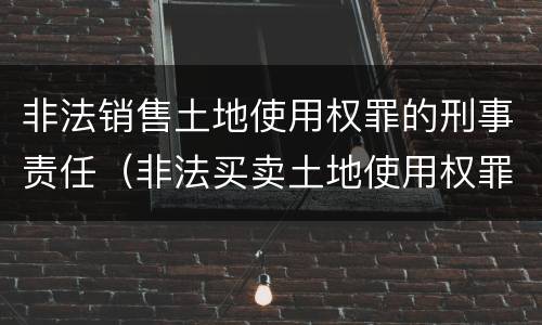 非法销售土地使用权罪的刑事责任（非法买卖土地使用权罪立案标准）