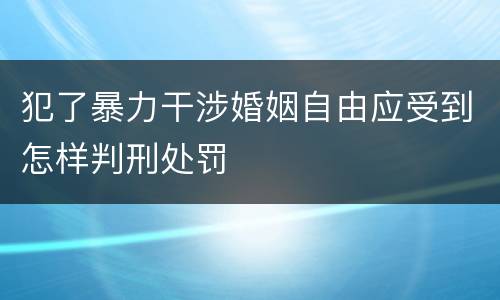犯了暴力干涉婚姻自由应受到怎样判刑处罚