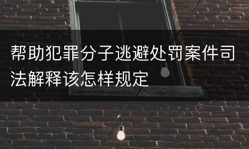 帮助犯罪分子逃避处罚案件司法解释该怎样规定