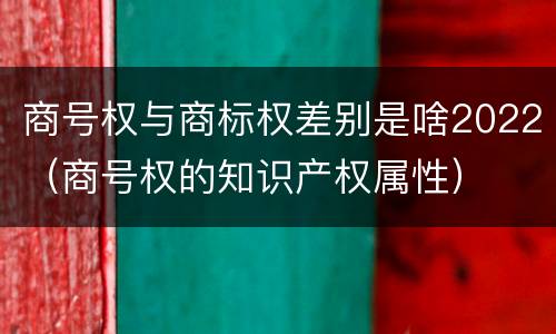 商号权与商标权差别是啥2022（商号权的知识产权属性）