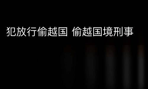 犯放行偷越国 偷越国境刑事