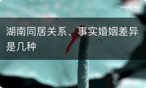 湖南同居关系、事实婚姻差异是几种