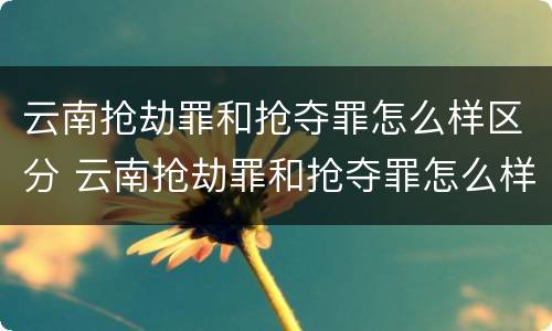 云南抢劫罪和抢夺罪怎么样区分 云南抢劫罪和抢夺罪怎么样区分的