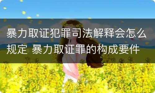 暴力取证犯罪司法解释会怎么规定 暴力取证罪的构成要件