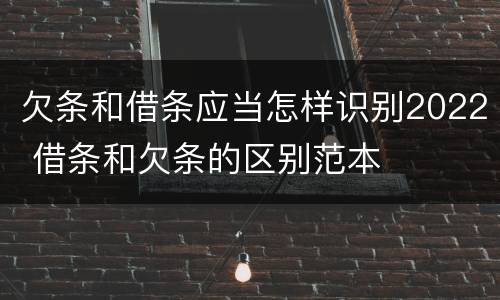 欠条和借条应当怎样识别2022 借条和欠条的区别范本