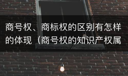 商号权、商标权的区别有怎样的体现（商号权的知识产权属性）