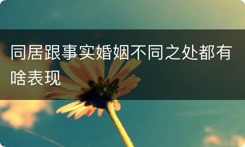 同居跟事实婚姻不同之处都有啥表现