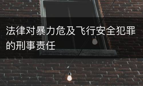 法律对暴力危及飞行安全犯罪的刑事责任
