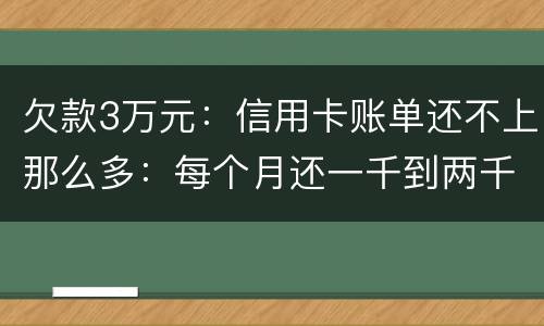 欠款3万元：信用卡账单还不上那么多：每个月还一千到两千元：请问还要做坐牢吗