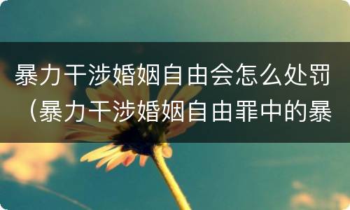 暴力干涉婚姻自由会怎么处罚（暴力干涉婚姻自由罪中的暴力）