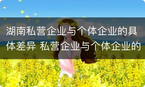 湖南私营企业与个体企业的具体差异 私营企业与个体企业的区别