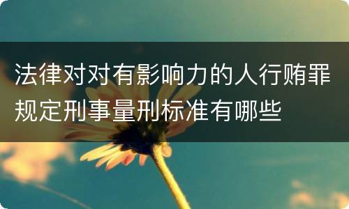 法律对对有影响力的人行贿罪规定刑事量刑标准有哪些