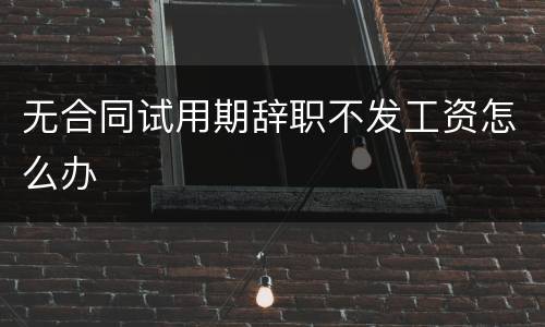无合同试用期辞职不发工资怎么办