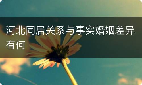 河北同居关系与事实婚姻差异有何