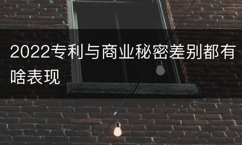 2022专利与商业秘密差别都有啥表现