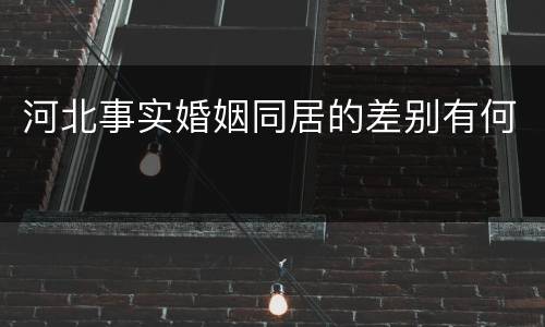 河北事实婚姻同居的差别有何