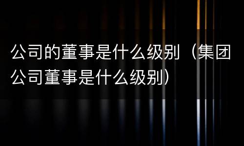 公司的董事是什么级别（集团公司董事是什么级别）