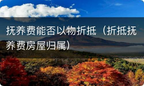 抚养费能否以物折抵（折抵抚养费房屋归属）