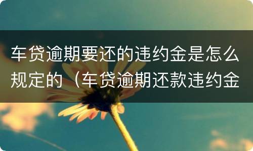 车贷逾期要还的违约金是怎么规定的（车贷逾期还款违约金）