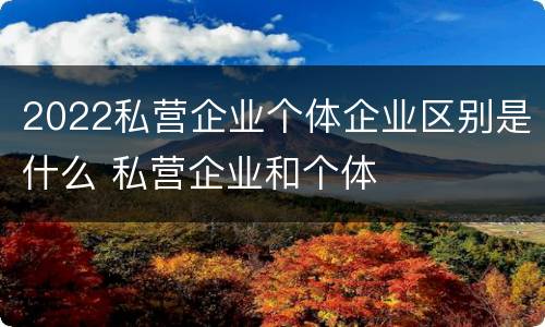 2022私营企业个体企业区别是什么 私营企业和个体