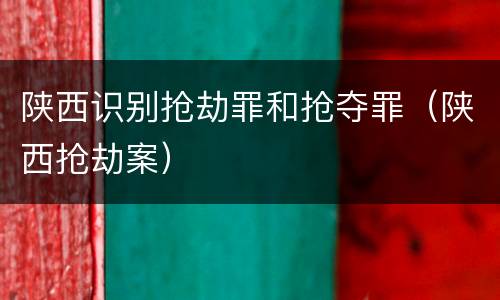 陕西识别抢劫罪和抢夺罪（陕西抢劫案）