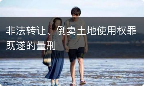 非法转让、倒卖土地使用权罪既遂的量刑
